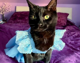 Dog Cat Bridesmaid Snow Princess Light Blue Dress Tutu Wedding