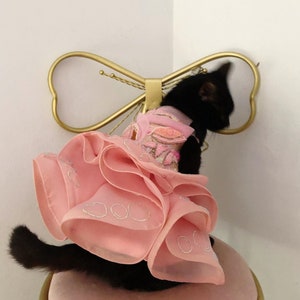 Glinda bubble for cat dog beaded wicked Ariana Inspired dress