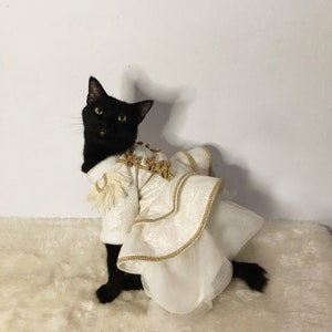 Puede incluir: Un gato negro con un vestido blanco y dorado con una falda con volantes y ribetes dorados. El gato está sentado sobre una superficie blanca y esponjosa.