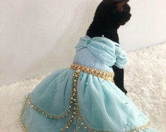 Princess Jasmine dress | Cosplay Costume custom made for dog cat | Princess Theme birthday dress | Aladdin Teal