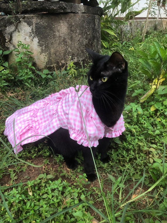 Pink Gingham Cotton Dress. Picnic Dress for Cat Dog. Margot Robbie
