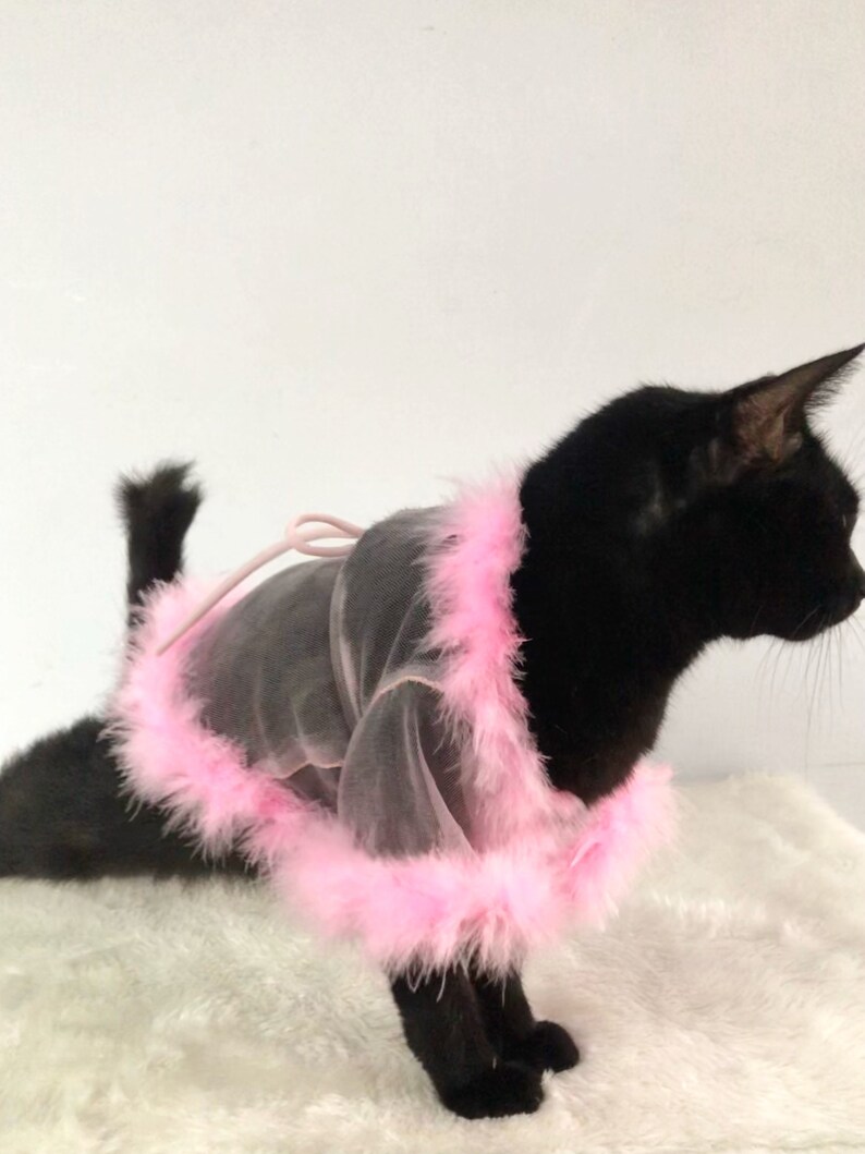 Sheer Tulle Feathers Robe custom made for dog cat rabbit | Slay Robe | Luxurious robe | Dog maternity robe dress image 5
