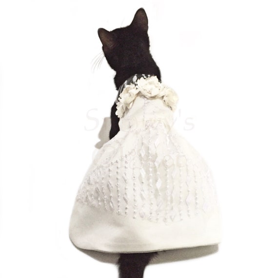 Nunca gatear Marcha mala Vestido de novia del gato del perro del animal doméstico. - Etsy España