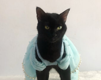 Princess Jasmine Dress | Cosplay Costume Custom Made for Dog Cat