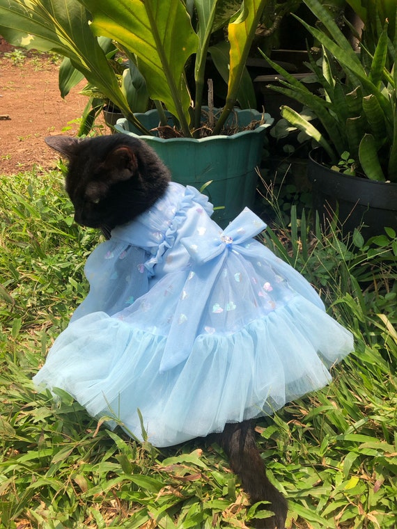Light Blue Dress With Cats All Over Light Blue Dress With Cats All Over