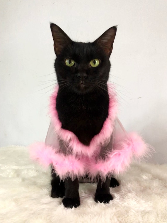 Sheer Tulle Feathers Robe custom made for dog cat rabbit | Slay Robe | Luxurious robe | Dog maternity robe dress