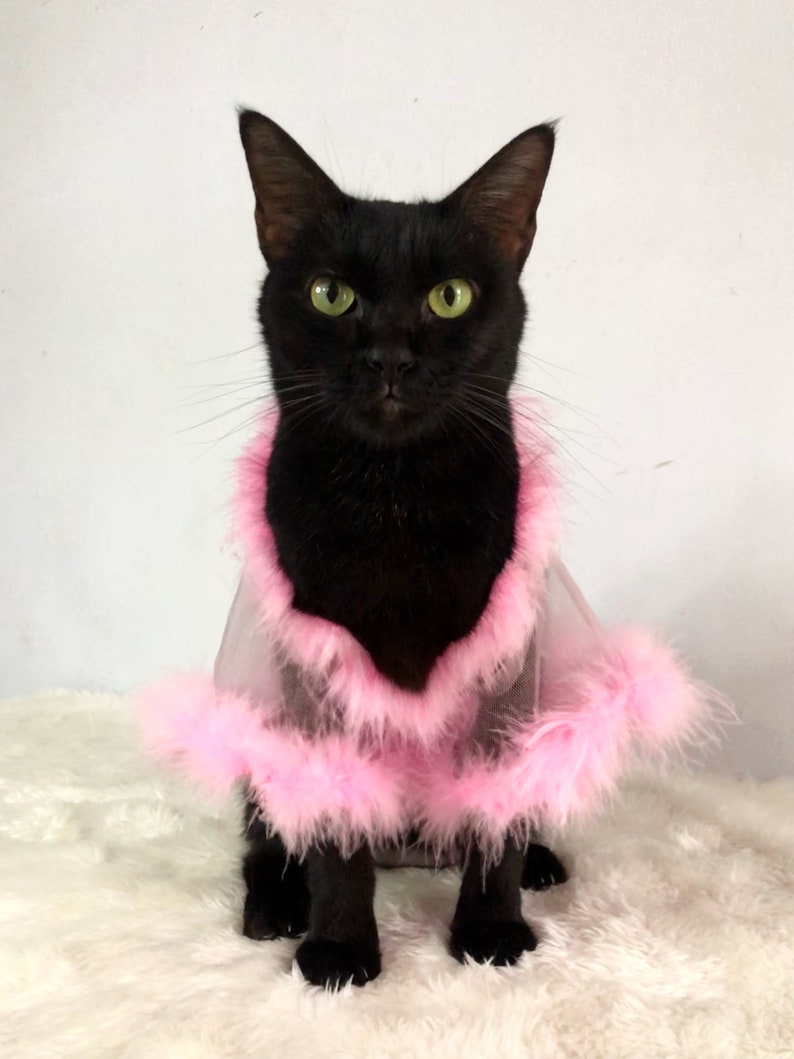 Sheer Tulle Feathers Robe custom made for dog cat rabbit | Slay Robe | Luxurious robe | Dog maternity robe dress image 1