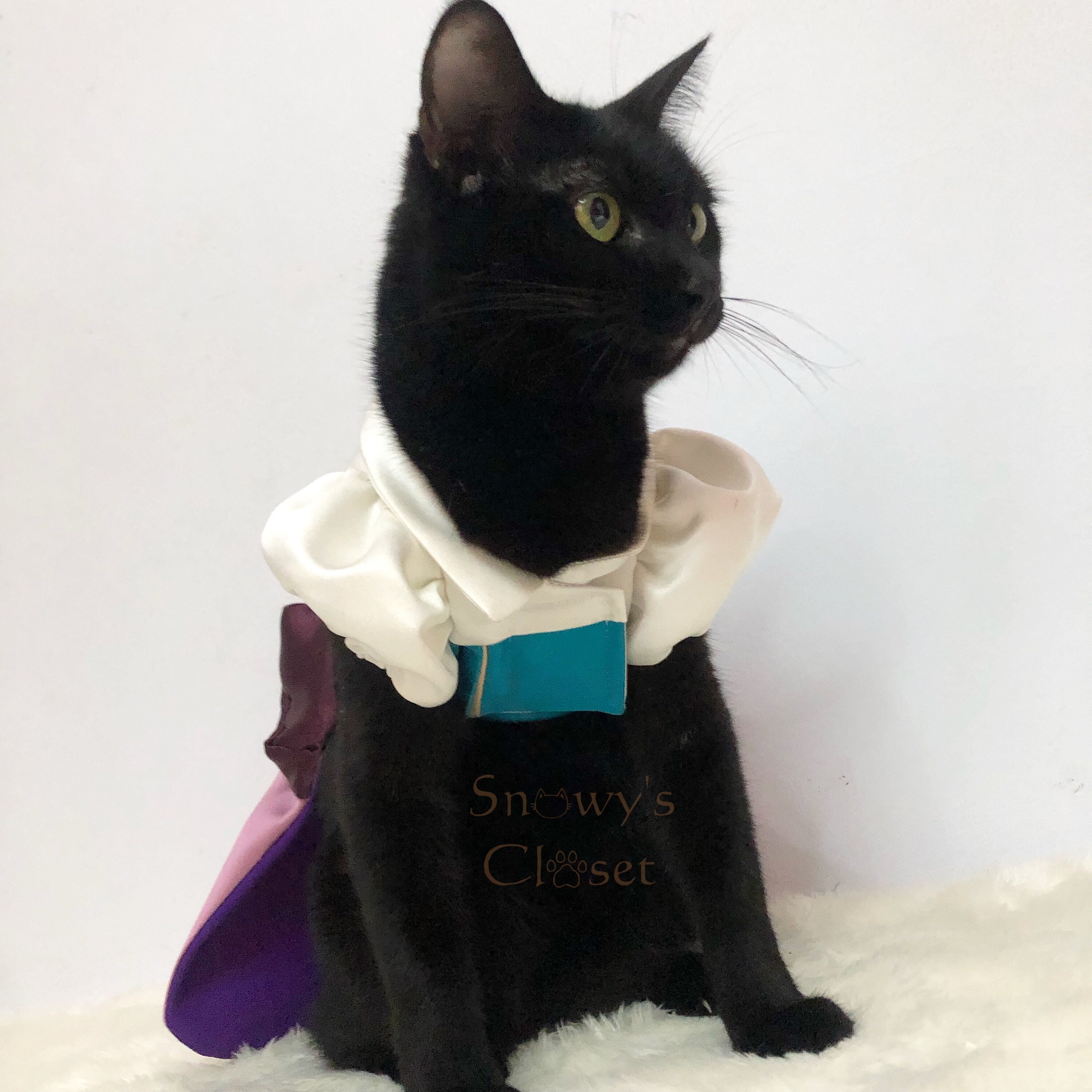 Esmeralda Dress Costume for Cat Dog Rabbit. Disney Costume - Etsy