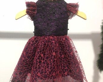 Witch spider tutu dress for cat. Halloween witch costume.