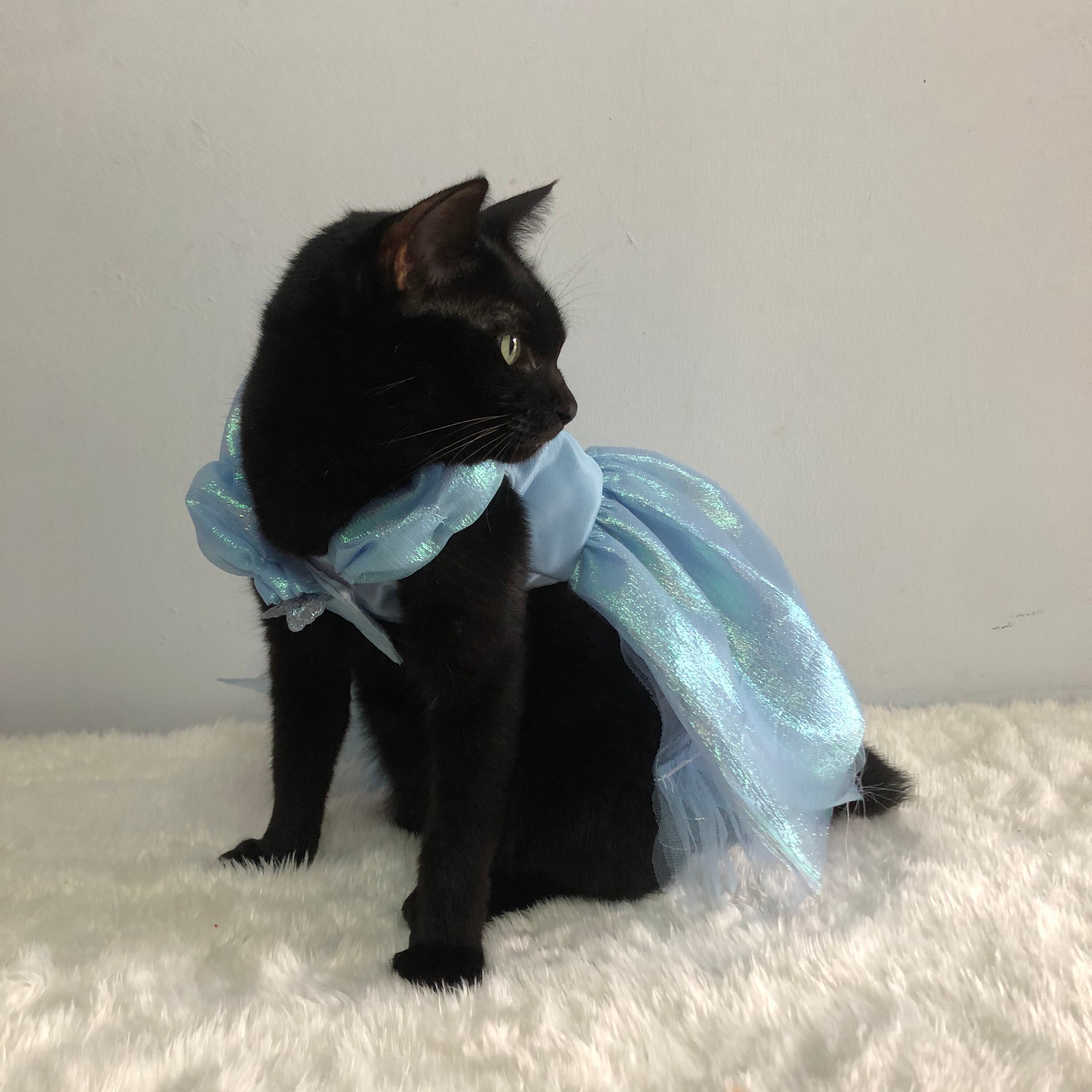 Cinderella Dress for Dog Cat Rabbit. Metallic Organza Dress