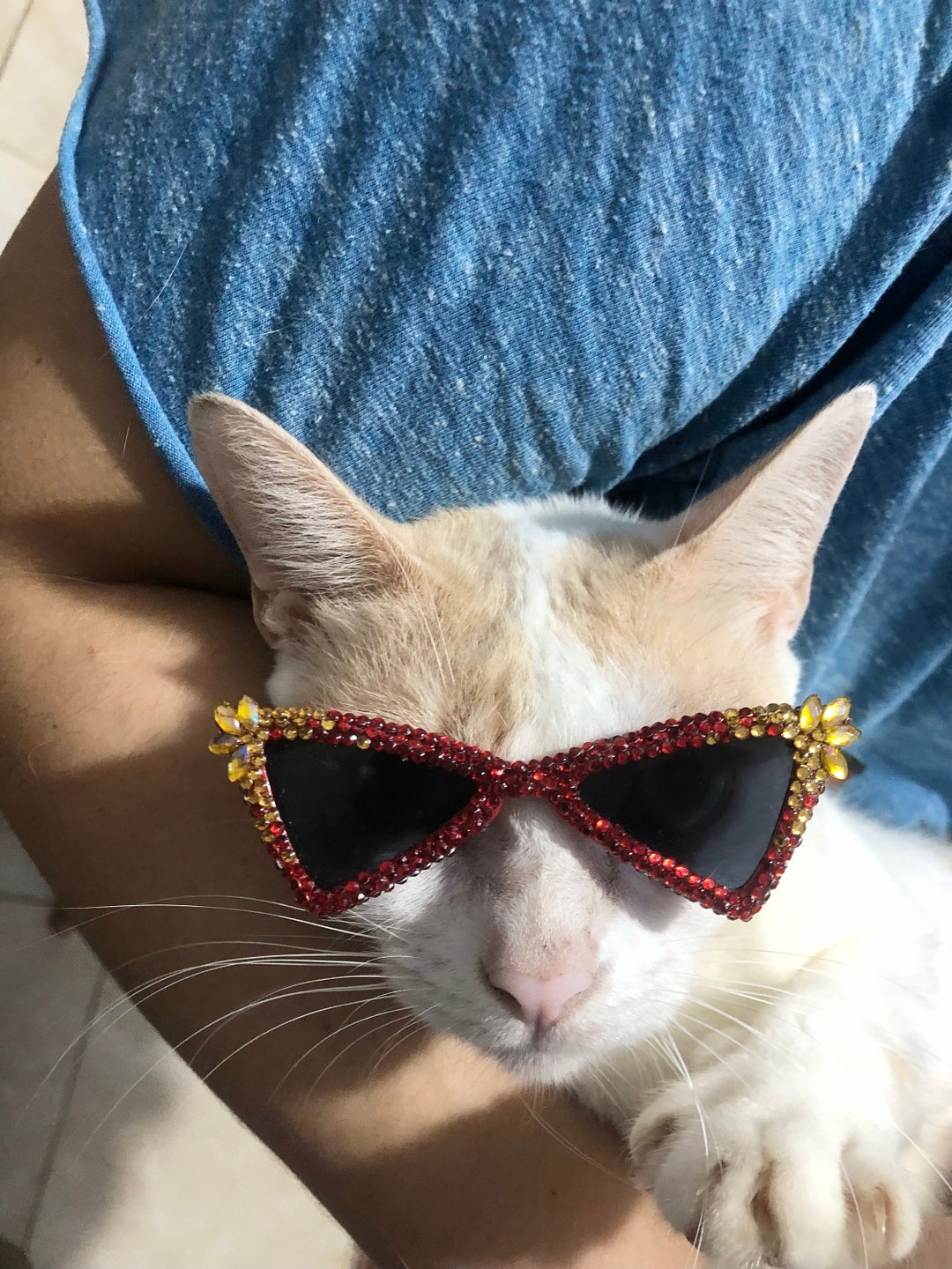 Dubkitty designs Funky Red Sunglasses with Gold and Orange Accents Gold Grandpa Double Bridge Metal Mirrored Sunglasses with  main image 3