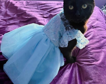 Chien chat demoiselle d'honneur neige princesse bleu clair robe tutu mariage avec perles brocart cendrillon