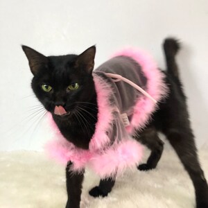 Sheer Tulle Feathers Robe custom made for dog cat rabbit | Slay Robe | Luxurious robe | Dog maternity robe dress image 7