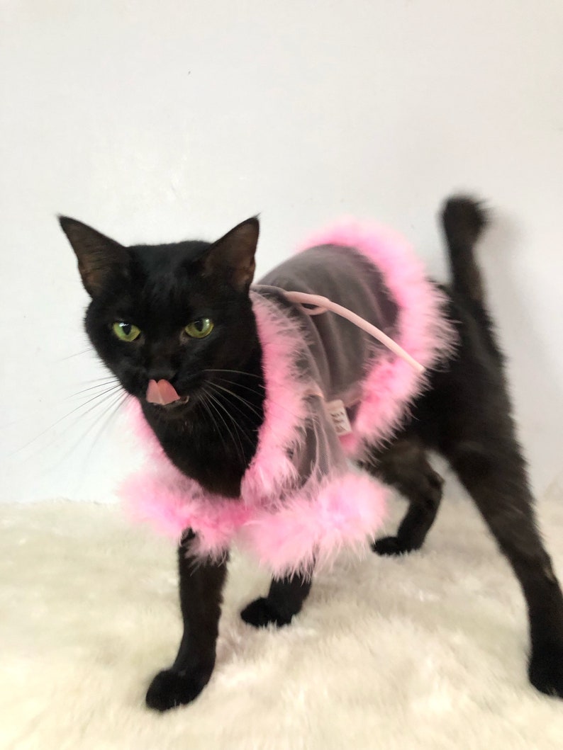 Sheer Tulle Feathers Robe custom made for dog cat rabbit | Slay Robe | Luxurious robe | Dog maternity robe dress image 7