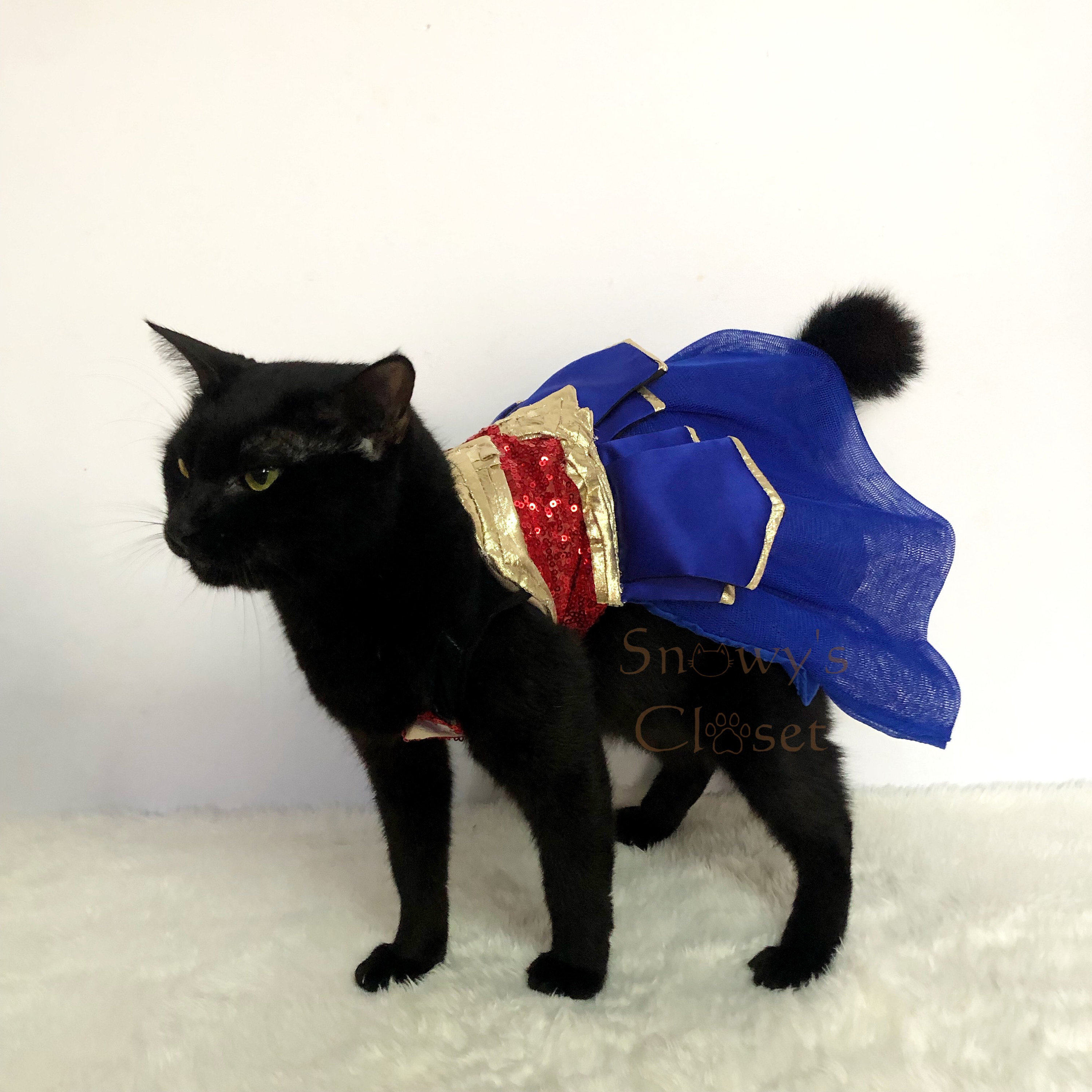 Wonder Woman Pet Cat Dog Costume – Always Whiskered