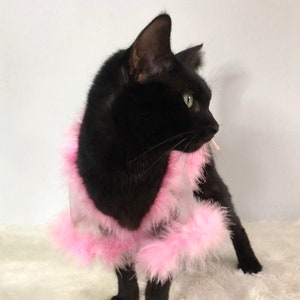 Sheer Tulle Feathers Robe custom made for dog cat rabbit | Slay Robe | Luxurious robe | Dog maternity robe dress image 8