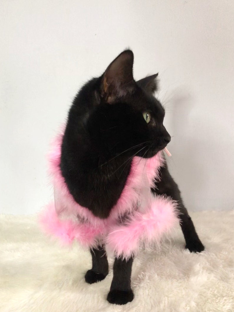 Sheer Tulle Feathers Robe custom made for dog cat rabbit | Slay Robe | Luxurious robe | Dog maternity robe dress image 8