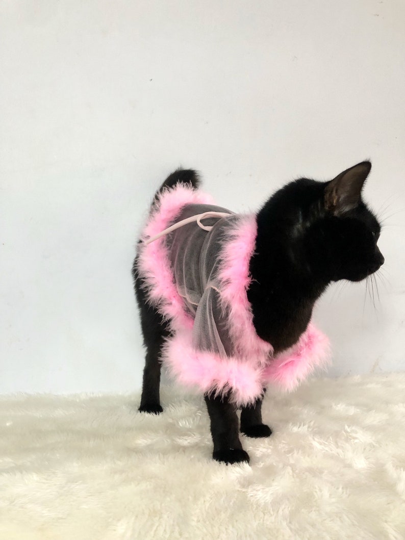 Sheer Tulle Feathers Robe custom made for dog cat rabbit | Slay Robe | Luxurious robe | Dog maternity robe dress image 6