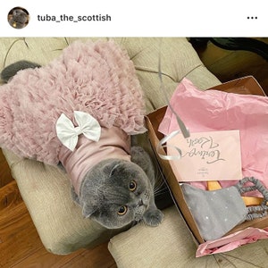 Dog Cat Vertical Bloom Tutu dress for birthday wedding pet in dusty pink.