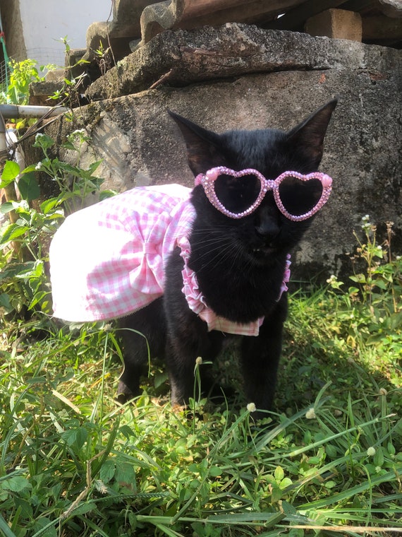 Pink Gingham Cotton Dress. Picnic Dress for Cat Dog. Margot Robbie