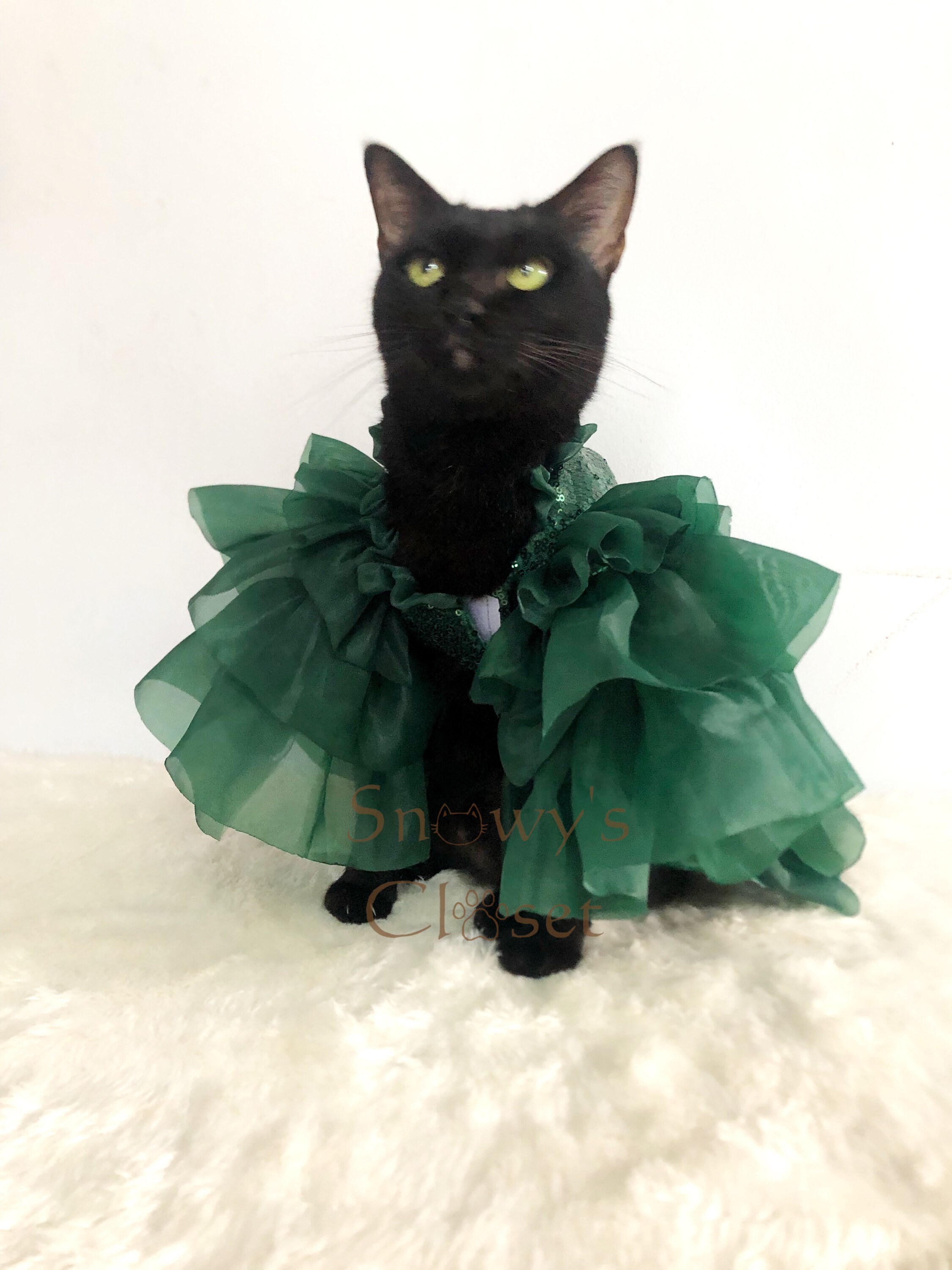 Statement Dress Cat Dog Green Sequin Organza Dress. Quinceanera