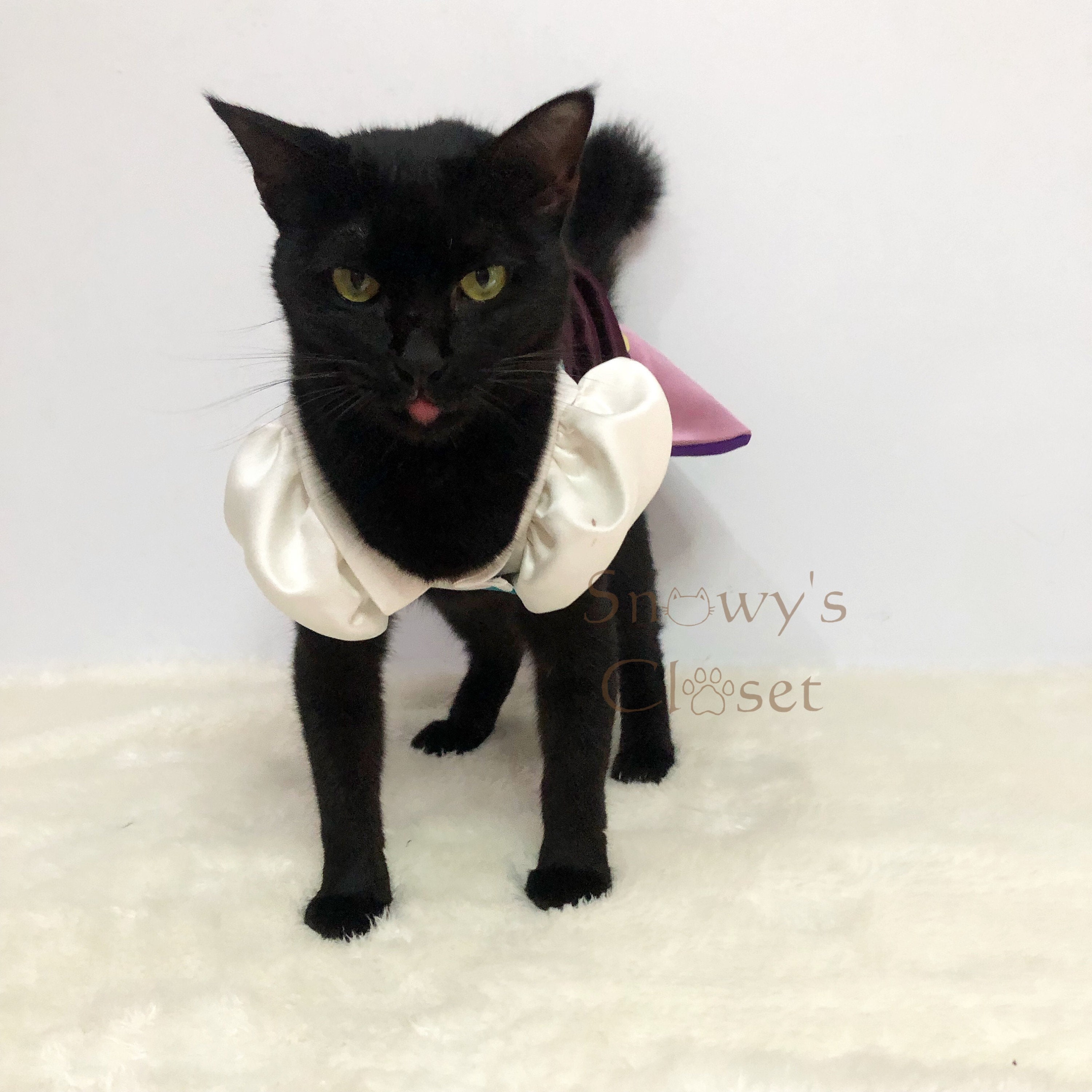 Esmeralda Dress Costume for Cat Dog Rabbit. Disney Costume - Etsy