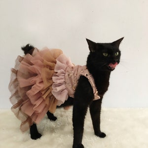 Katze Hund Brown Farbverlauf Tutu glitzer Kleid. Brautjungfer Kleid. Geburtstag Glitzer Kleid. Puffiger Rock. Brautkleid für Katze Hund. Herbstliches beige Tutu