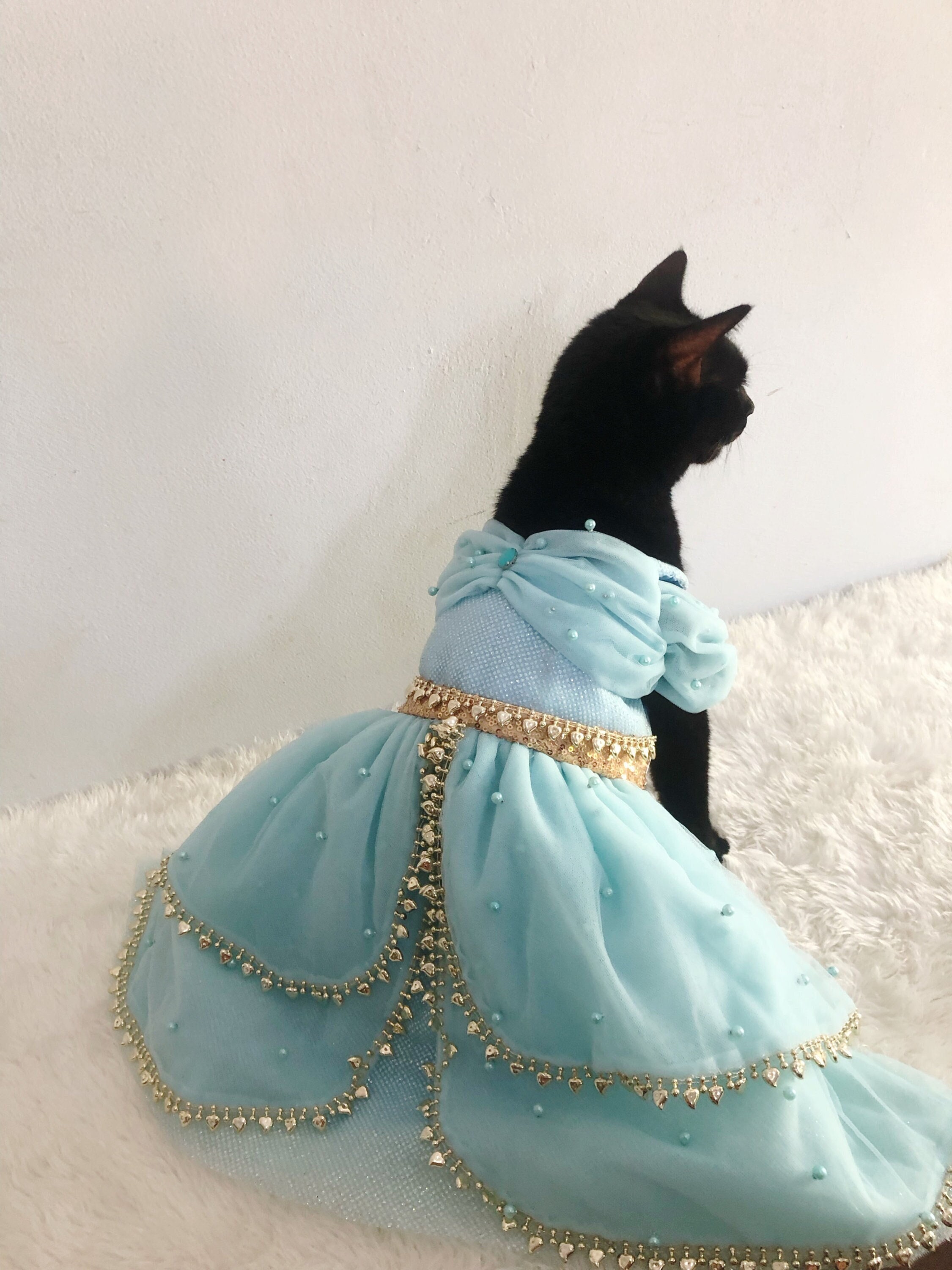 Princess Jasmine Dress Cosplay Costume Custom Made for Dog Cat