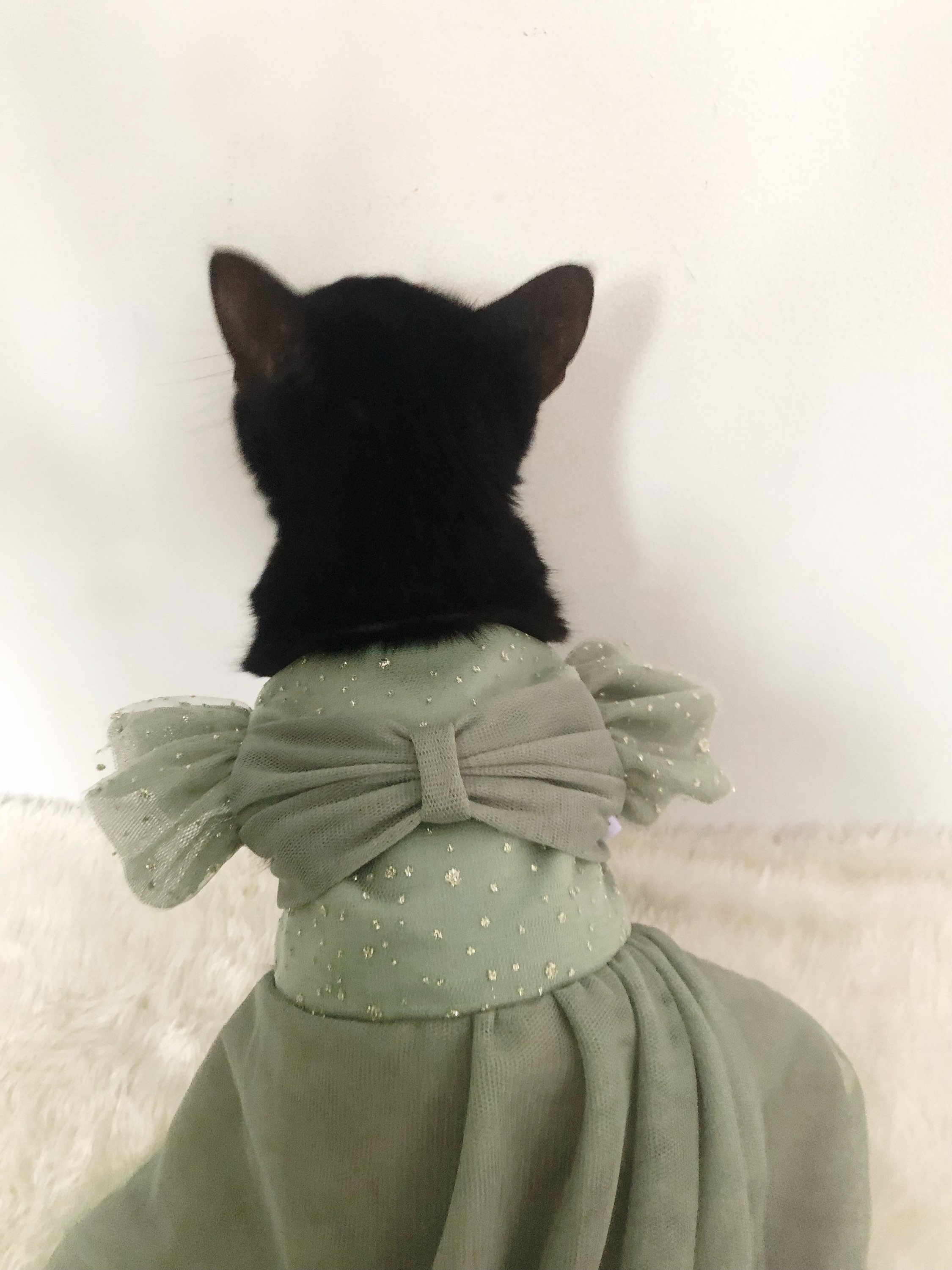 Green Sage Glitter Ruffle Tulle Wedding Birthday Dress. Quinceanera. Custom  Made for Cat Dog Pet. Flower Girl. Bridesmaid Dress. - Etsy