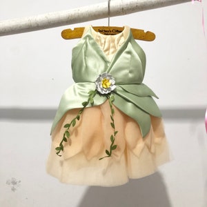 Princess Tiana and the frog dress for cat dog rabbit. Disney princess dress custom made for pet.