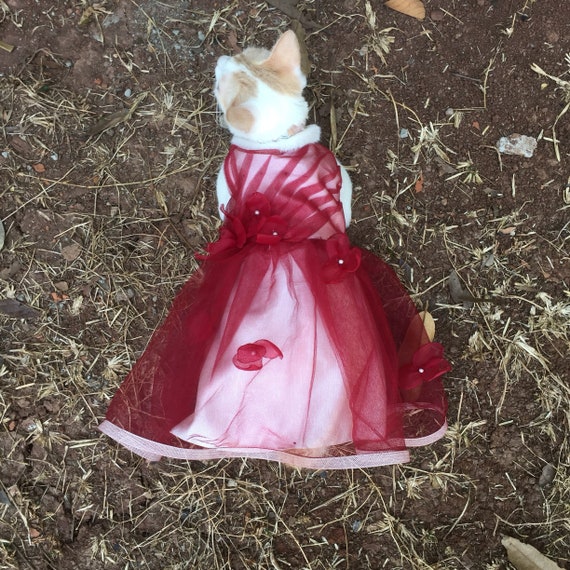 Dog Cat Drapery Wedding Bridesmaid Tulle Wrap Dress in Maroon