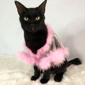 Sheer Tulle Feathers Robe custom made for dog cat rabbit | Slay Robe | Luxurious robe | Dog maternity robe dress image 4