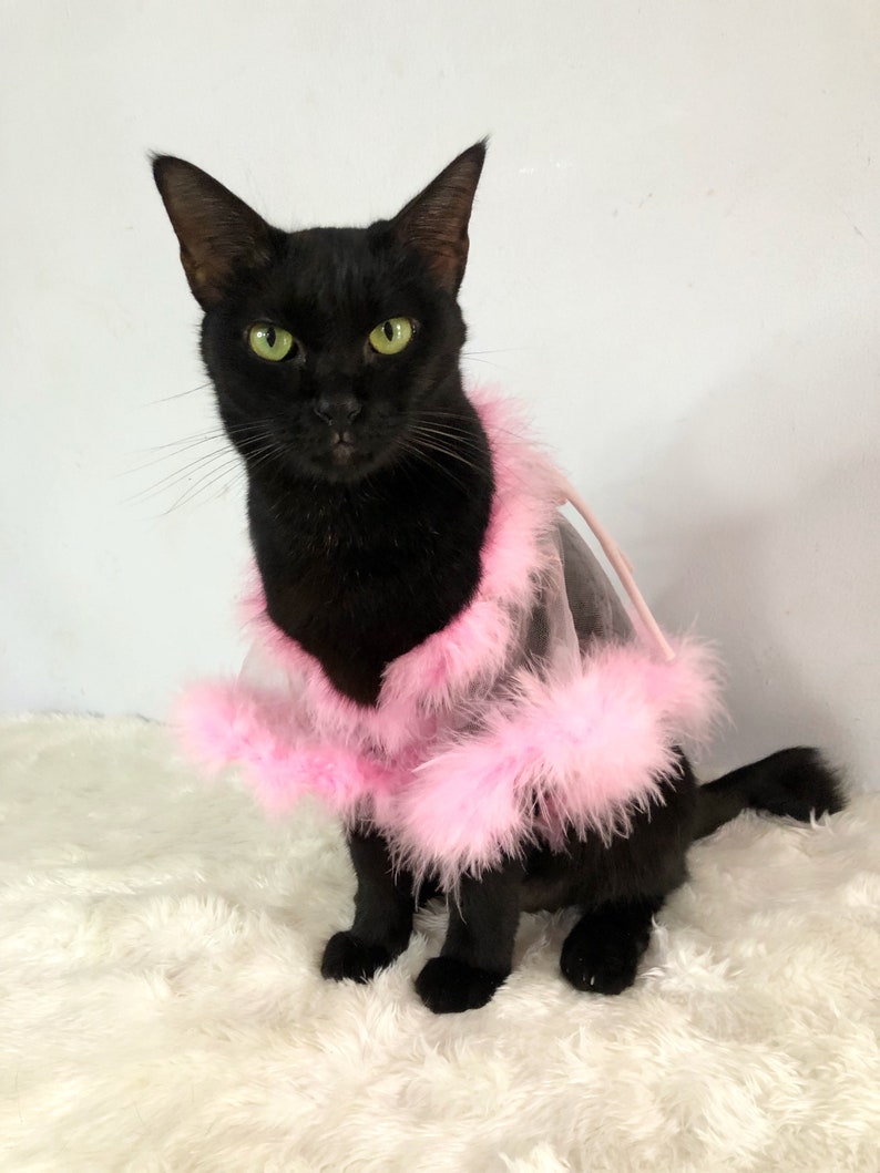 Sheer Tulle Feathers Robe custom made for dog cat rabbit | Slay Robe | Luxurious robe | Dog maternity robe dress image 4
