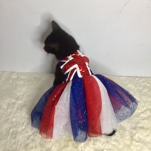 May include: A black cat wearing a red, white, and blue sequined Union Jack dress with a tulle skirt.