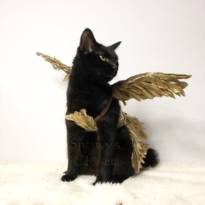 Fairy Golden Feather Costume Goddess Greek | Kendall Jenner Costume | for cat dog rabbit. Birthday goddess.