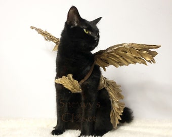 Fairy Golden Feather Costume Goddess Greek | Kendall Jenner Costume | for cat dog rabbit. Birthday goddess.