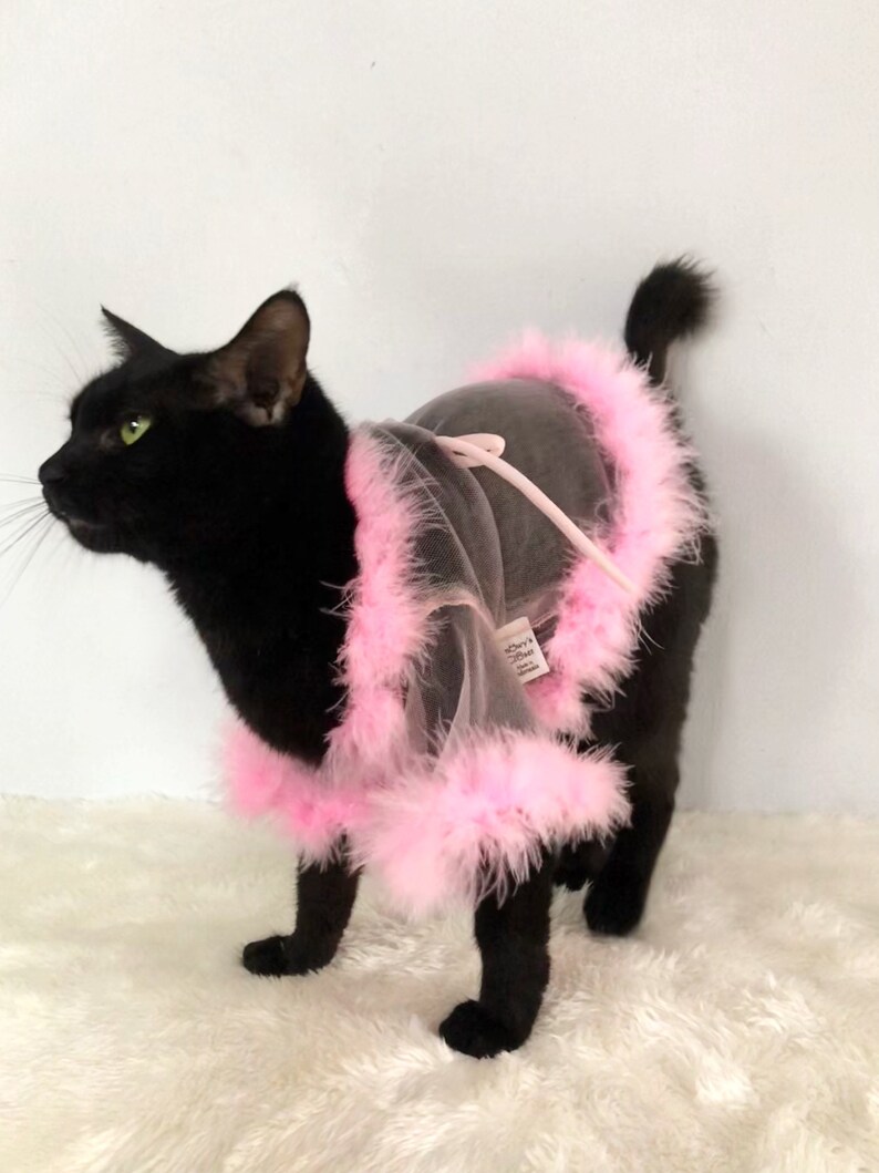 Sheer Tulle Feathers Robe custom made for dog cat rabbit | Slay Robe | Luxurious robe | Dog maternity robe dress image 3