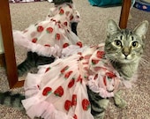 Dreamy Strawberry Tulle Glitter Dress for Dog Cat Rabbit - Etsy