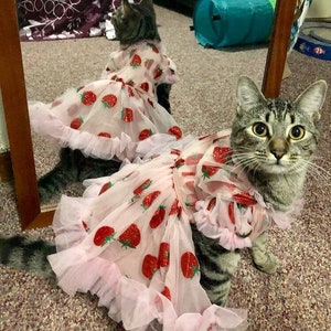 Dreamy strawberry tulle glitter dress for dog cat rabbit