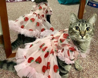 Dreamy strawberry tulle glitter dress for dog cat rabbit