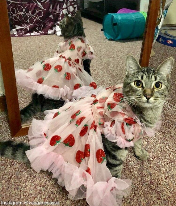 furrshionista pet clothes dog dress cat dress small size