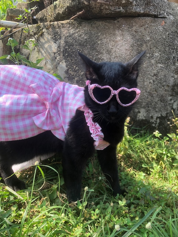 Pink Gingham Cotton Dress. Picnic Dress for Cat Dog. Margot Robbie
