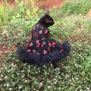 Dreamy Cat Dog Strawberry dress in black. Glitter dress. Picnic dress. Iconic dress
