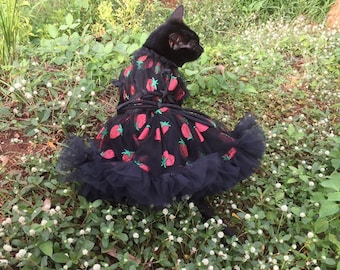 Hochzeitskleid Kostum Hund Hochzeitskleid Hund Etsy