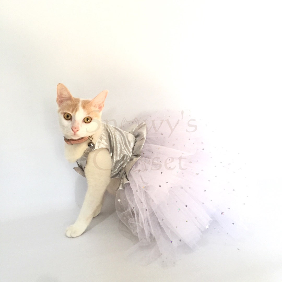 Buy Pet Dog Cat Pop Star Gold Metallic Tutu Tulle Fluffy Silver Star  Meshed Halloween Costume Party, Birthday Online in India