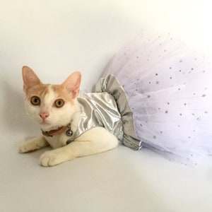 May include: A white cat with orange markings wearing a silver and white tutu with silver stars. The cat is lying on a white surface.