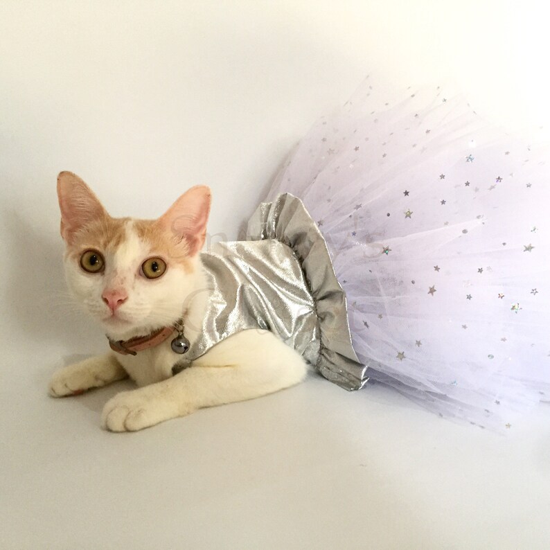 May include: A white cat with orange markings wearing a silver and white tutu with silver stars. The cat is lying on a white surface.