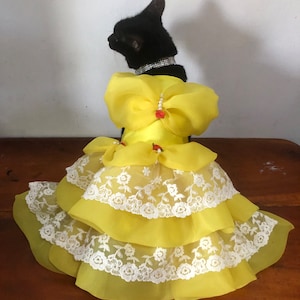 Belle organza dress for cat dog. Beauty and the beast costume cosplay dress for cat dog halloween. Rose and pearl organza yellow.