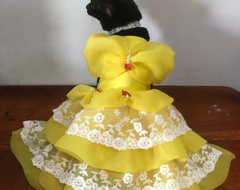 Belle organza dress for cat dog. Beauty and the beast costume cosplay dress for cat dog halloween. Rose and pearl organza yellow.