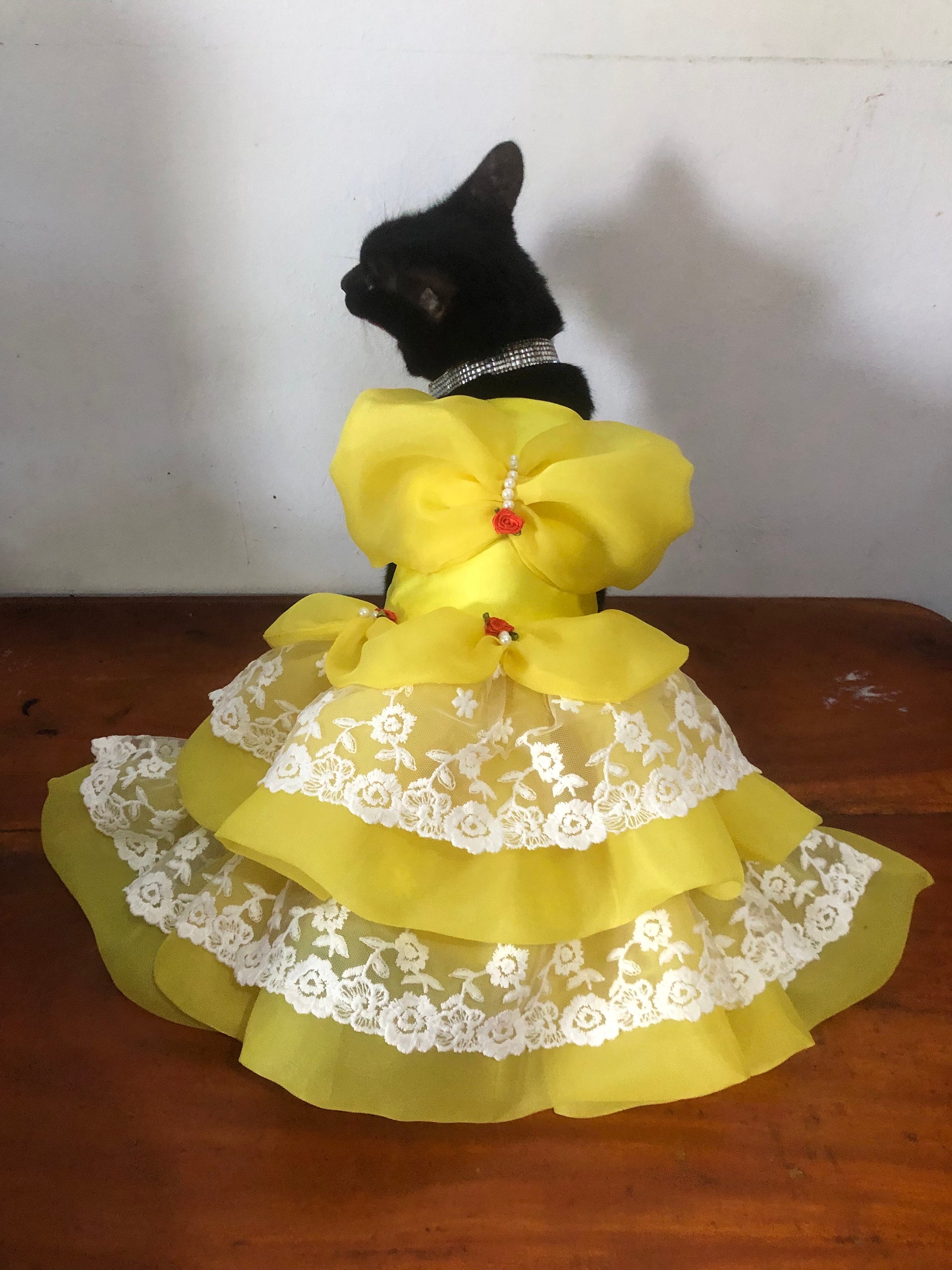 猫犬用ベルオーガンザドレス。猫犬ハロウィン用美女と野獣コスチューム